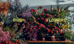 Bush Flowers: Australian Flowers and Foliage for Decoration and Design